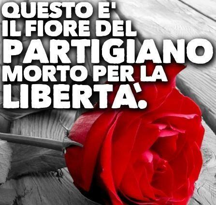 310855_10200654915129110_1034671166_n