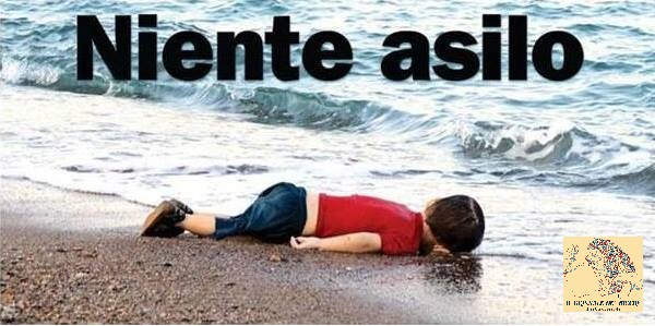 11960054_10206792765091523_7096646246529597928_n