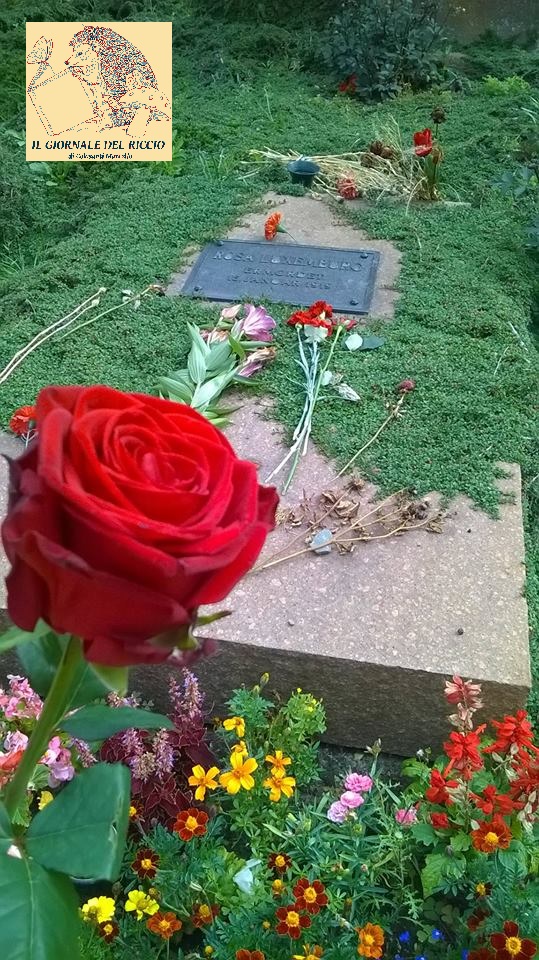 16114952_10210790020380407_2633995482147527483_n