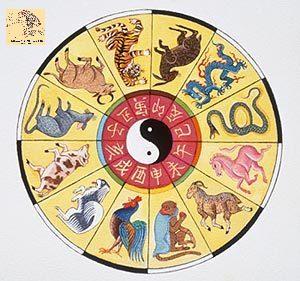 chinese-zodiac-chinese-zodiac-13785230-300-281