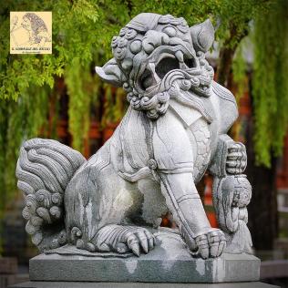 shishi-chinese-guardian-lion