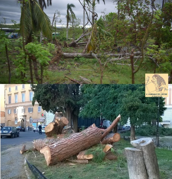 Paese che vai, uragano che&nbsp;trovi…